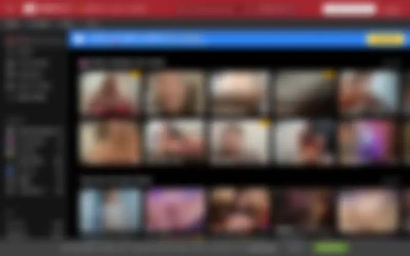 Preview of the Stripchat homepage, intentionally obscured